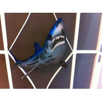 Mako shark cut out.